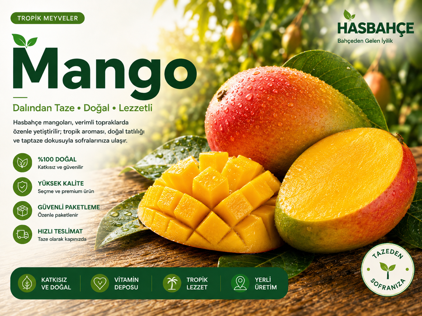 Mango (Dalından) – Tropik Meyveler