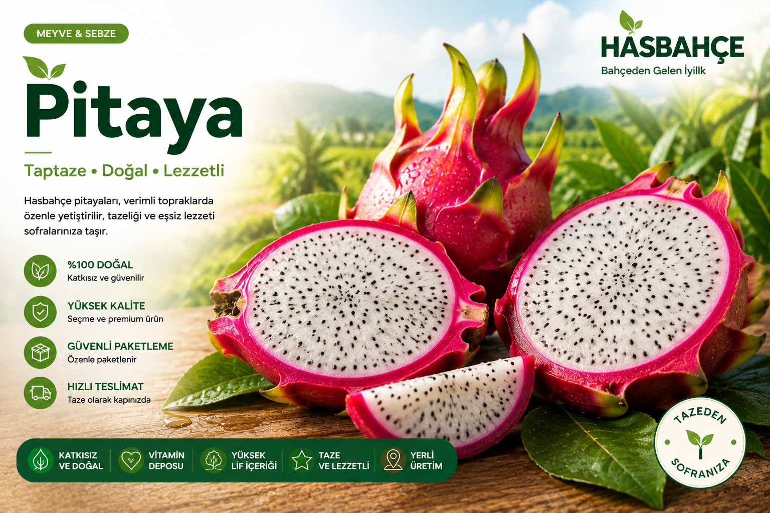 HASBAHÇE taze ejder meyvesi pitaya