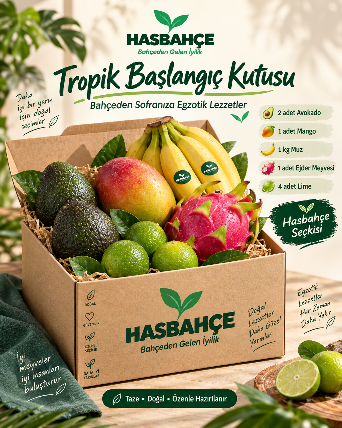 Tropik Başlangıç Kutusu illüstrasyonu