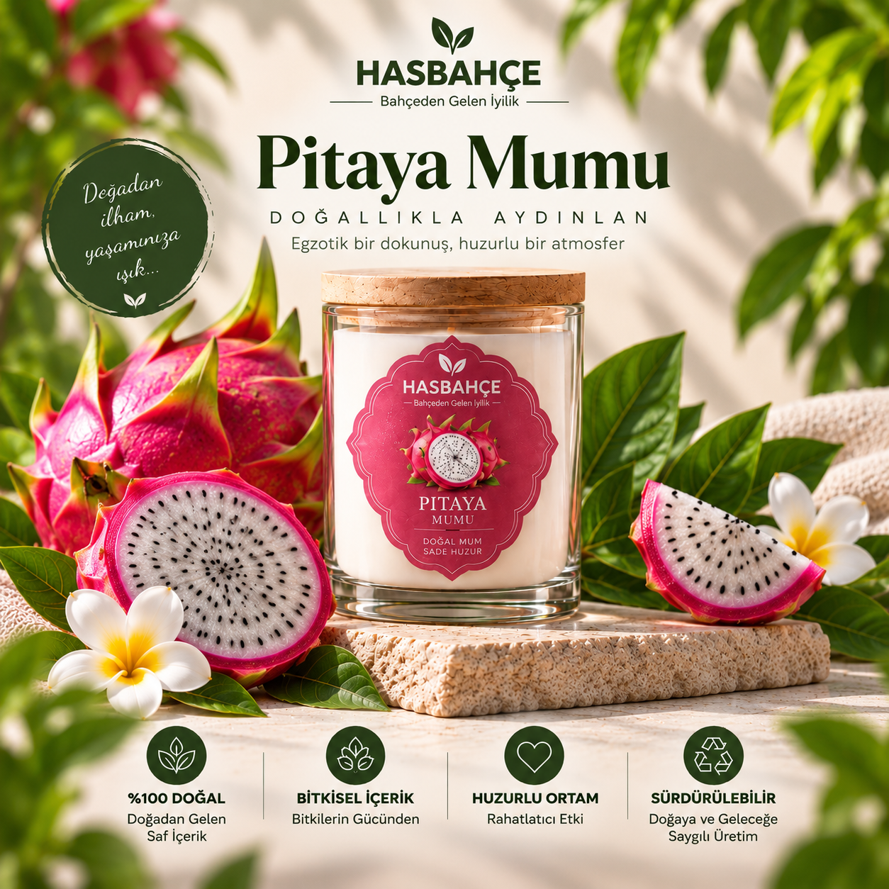 Pitaya Premium Kokulu Mum 220 ml ürün illüstrasyonu