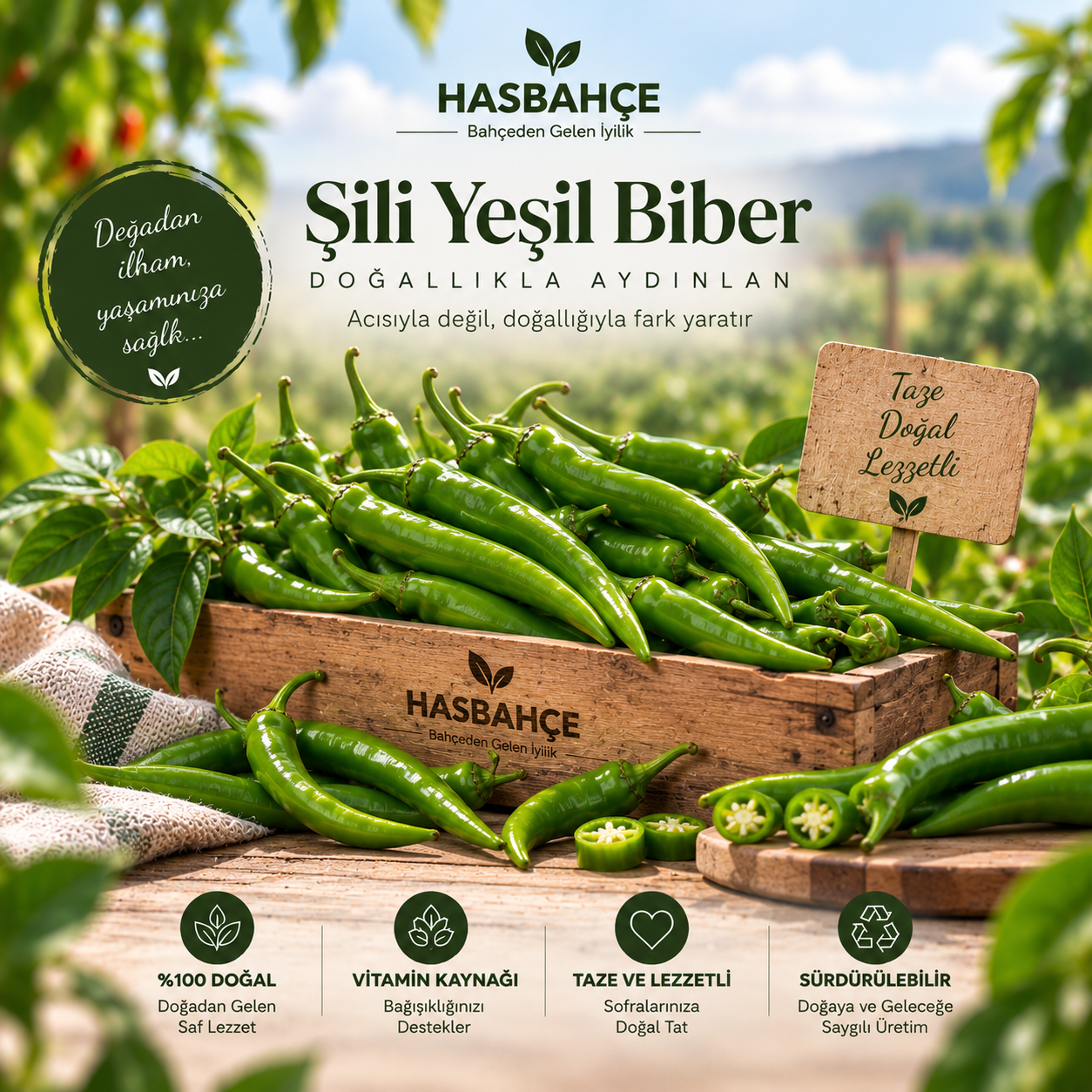 Taze yeşil Şili biberi ürün illüstrasyonu